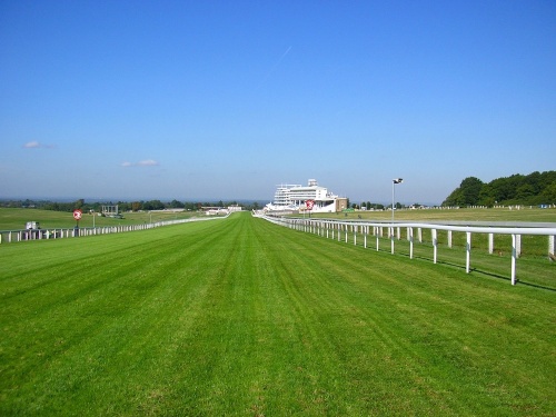 Race Course